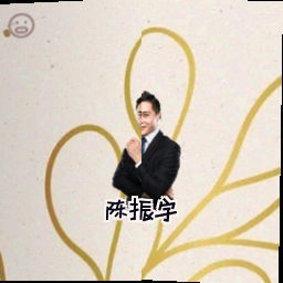 陈振宇