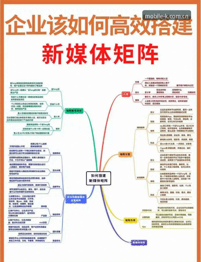 K体育2026版好用吗评测完整指南：解锁旧版兼容登录与数据更新新可能